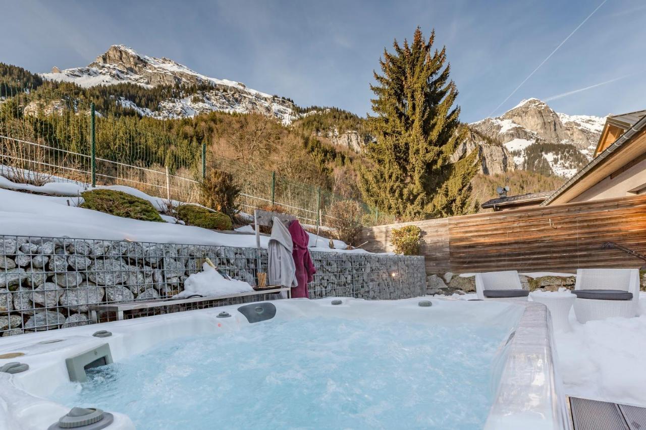 Les Edelweiss Mont-Blanc - Gite Classe 3 Etoiles Passy  Exterior photo
