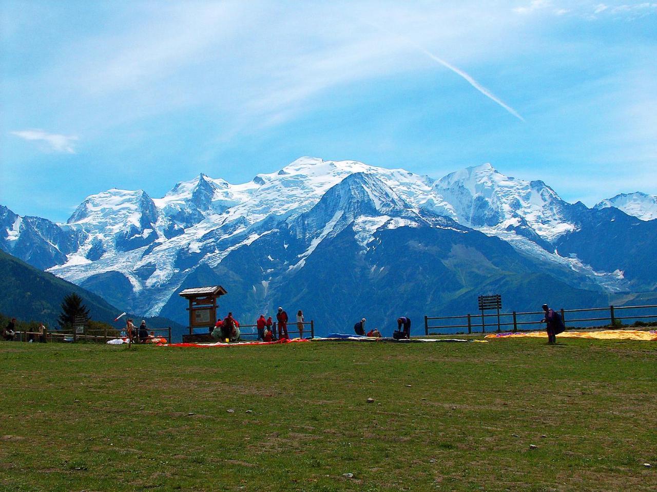 Les Edelweiss Mont-Blanc - Gite Classe 3 Etoiles Passy  Exterior photo