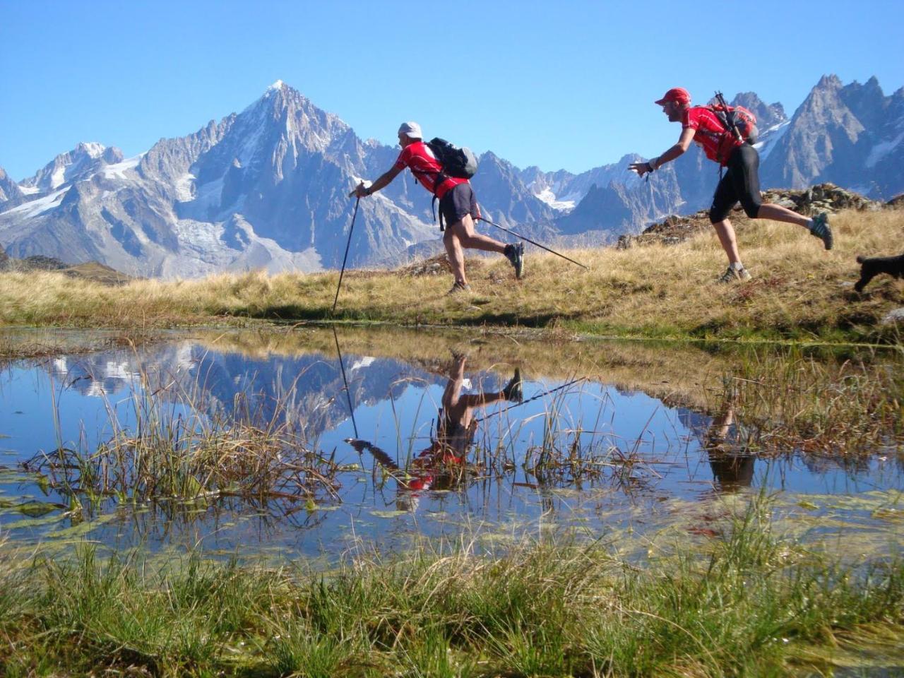 Les Edelweiss Mont-Blanc - Gite Classe 3 Etoiles Passy  Exterior photo
